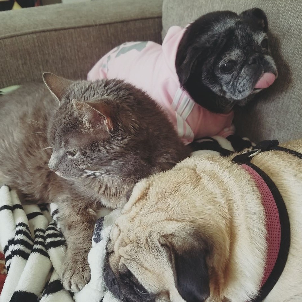 Meet your Posher, Cathy